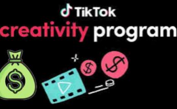 TikTok Innovators: Unlocking Creativity in Beta Program