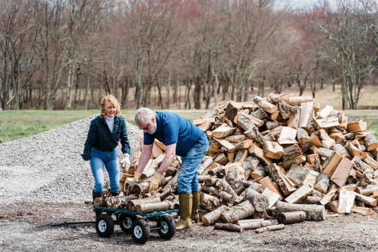 system activity log entries